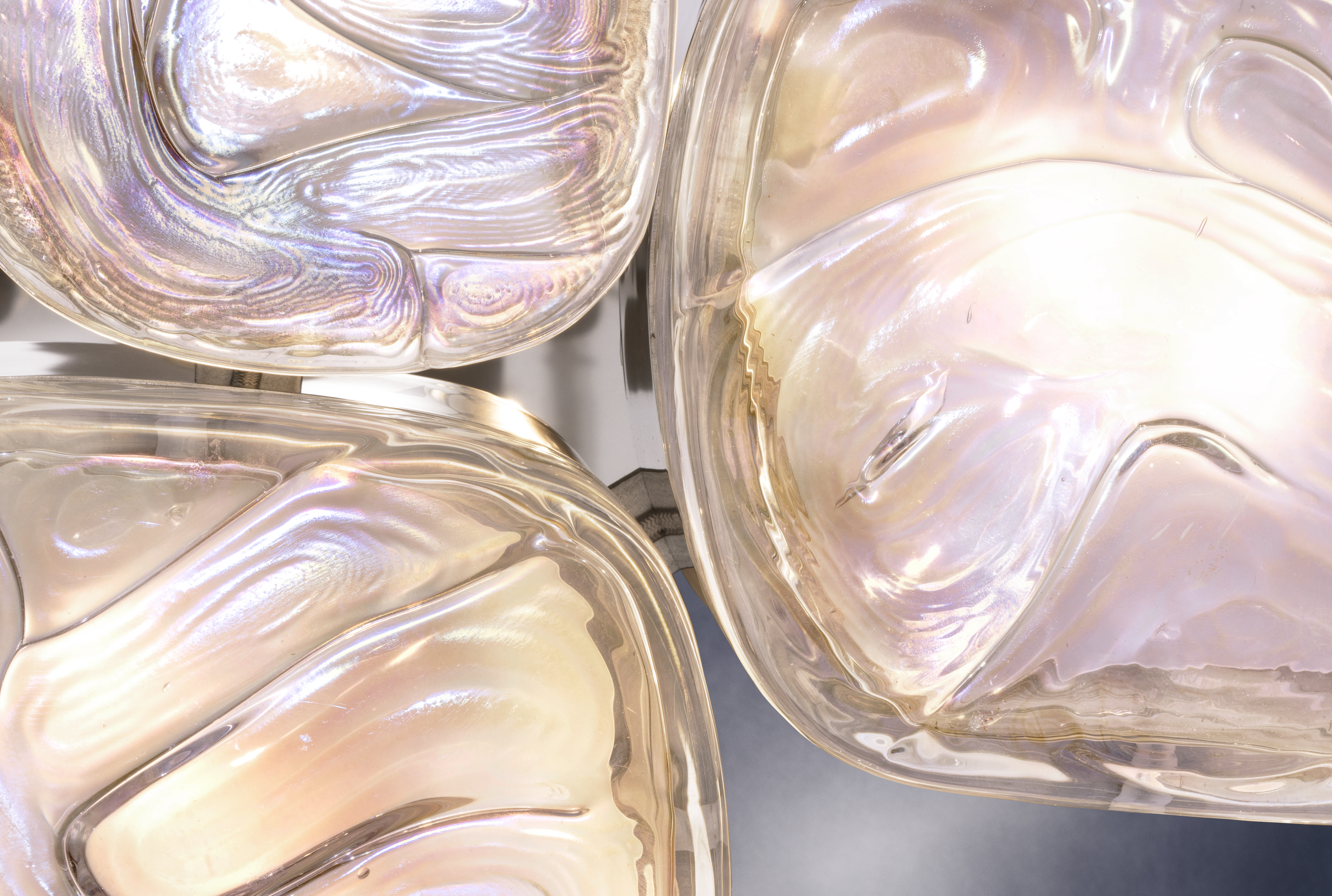 Homepage Image